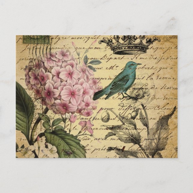 crown script hydrangea bird french botanical postcard (Front)