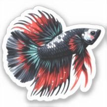 Crown Tail Betta Fish Black White and Red