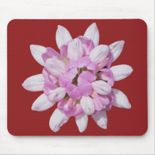 Crown Vetch #1 Mouse Pad