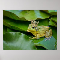 Crowned Frog Prince on Lily Pad