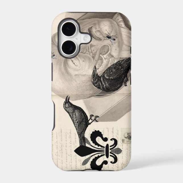 Crows and corpse (Back)