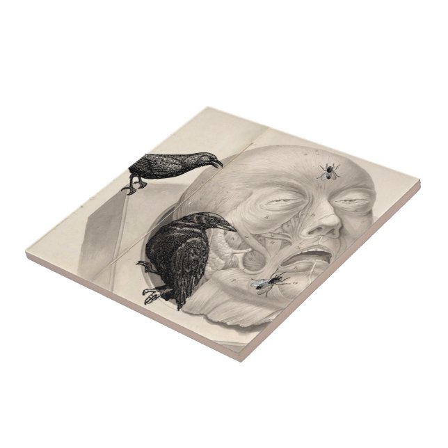 Crows and corpse ceramic tile (Side)