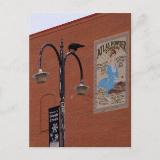 Crows & Dynamite Postcard