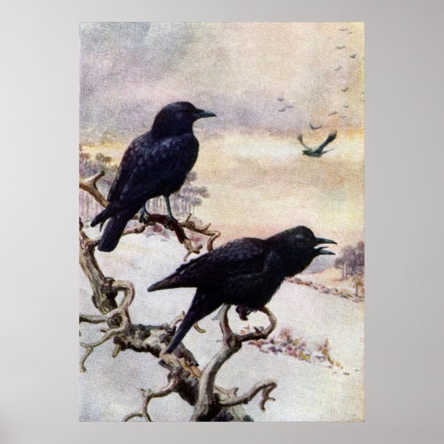 Crows in Winter Vintage Illustration Poster (Front)