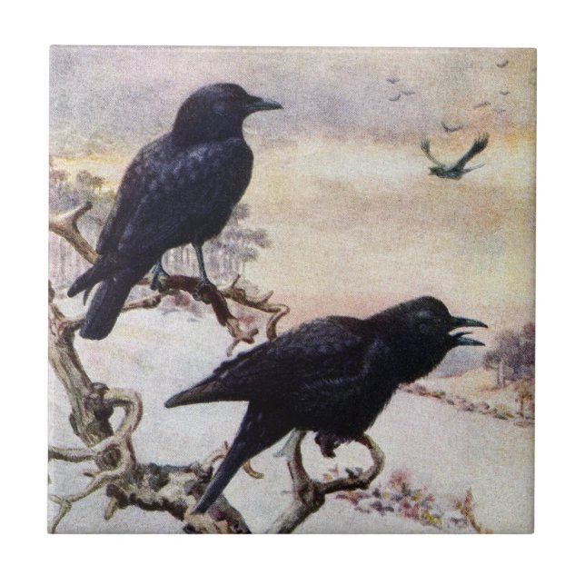 Crows in Winter Vintage Illustration Tile (Front)