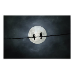Crows Lit By The Slivery Moon Photo Print