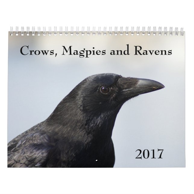 Crows, Magpies and Ravens 2017 Calendar (Cover)