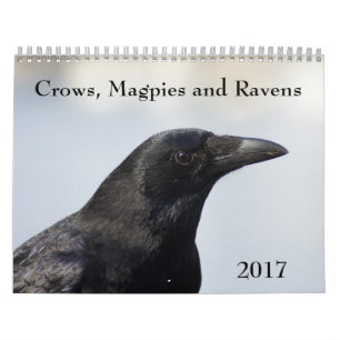 Crows, Magpies and Ravens 2017 Calendar