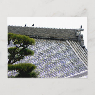 Crows on the temple roof postcard