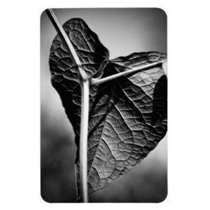 crucified heart magnet