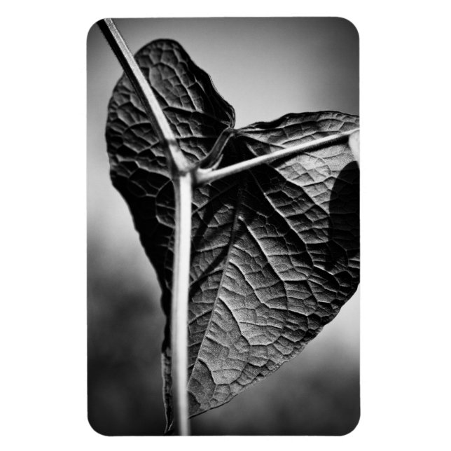 crucified heart magnet (Vertical)