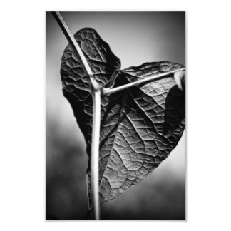 crucified heart photo print