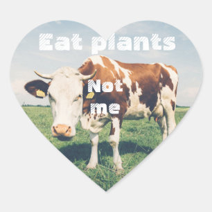 Cruelty free Heart sticker for vegan, vegetarian