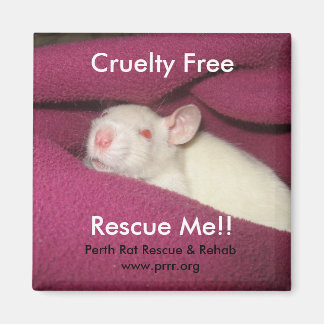 Cruelty Free Magnet