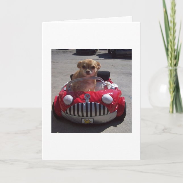 Cruising by cards (Front)