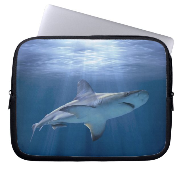 Cruising Shark Laptop Sleeve (Front)