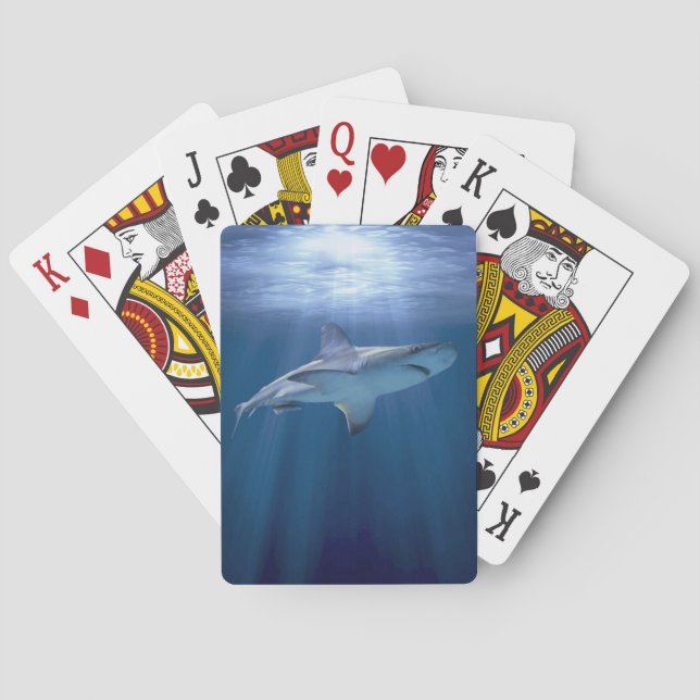 Cruising Shark Playing Cards (Back)