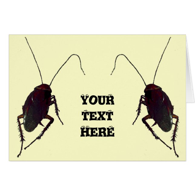 Crunchy Cockroach (Front Horizontal)