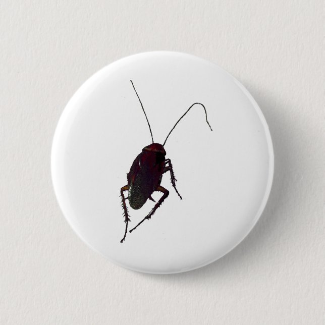Crunchy Cockroach 6 Cm Round Badge (Front)
