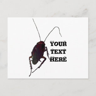 Crunchy Cockroach Postcard