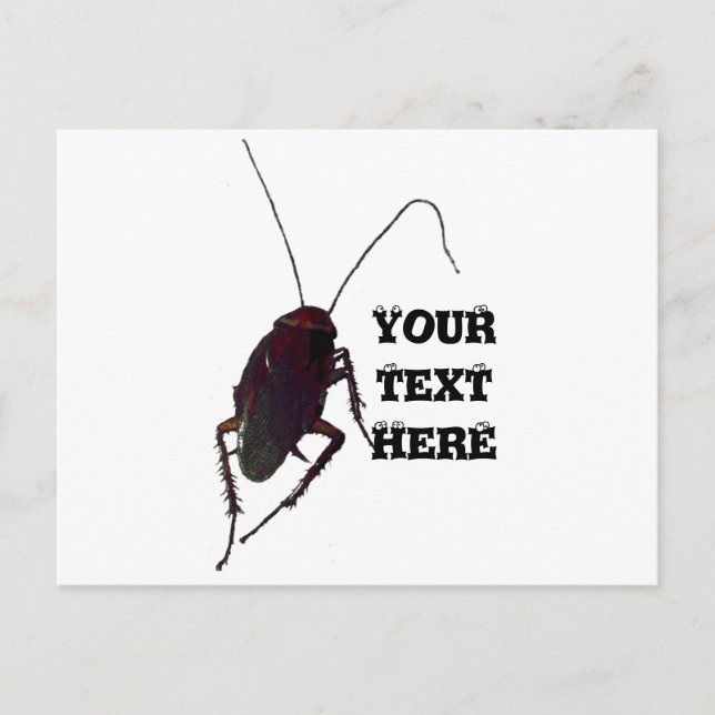 Crunchy Cockroach Postcard (Front)