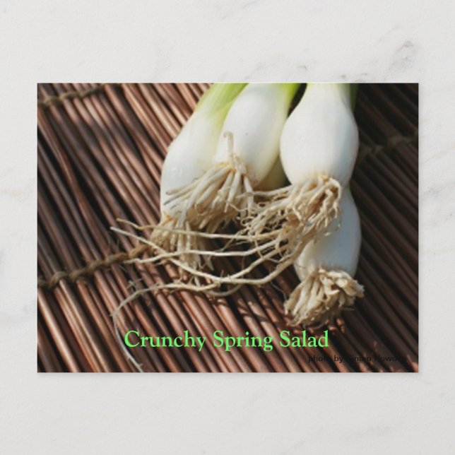 Crunchy Spring Salad Postcard (Front)