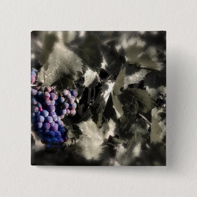 Crush at Tefft Cellars main vineyard 15 Cm Square Badge (Front)