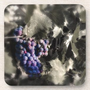 Crush at Tefft Cellars main vineyard Coaster