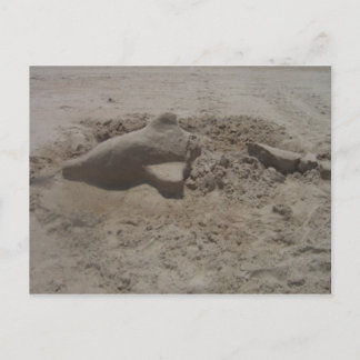 Crushed Dolphin Sandcastle Postcard