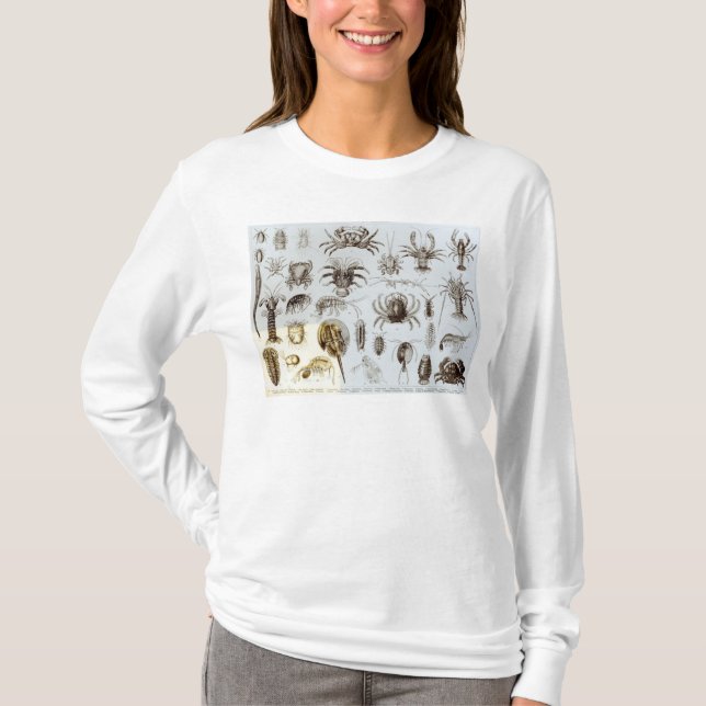 Crustacea and Arachnida T-Shirt (Front)