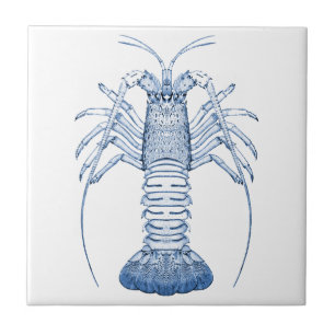 Crustaceans Ceramics ~ Rock Lobster Ceramic Tile