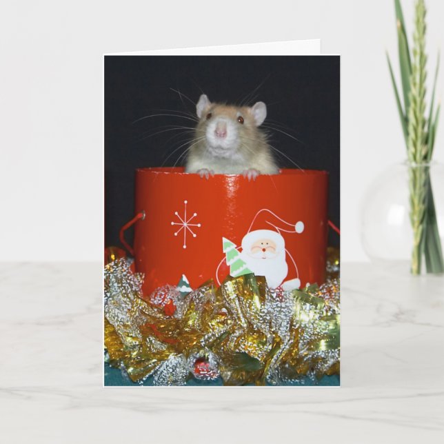 CRW_9063 HOLIDAY CARD (Front)