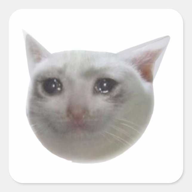 Crying Meme Cat Square Sticker (Front)