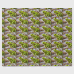 Cryptocentrus cinctus wrapping paper