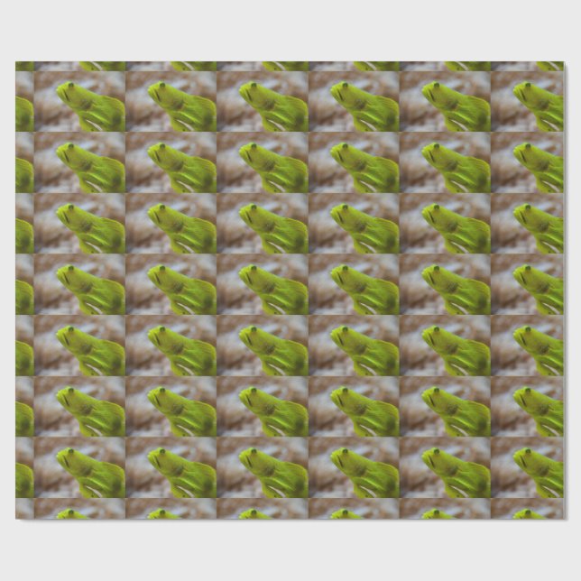 Cryptocentrus cinctus wrapping paper (Flat)
