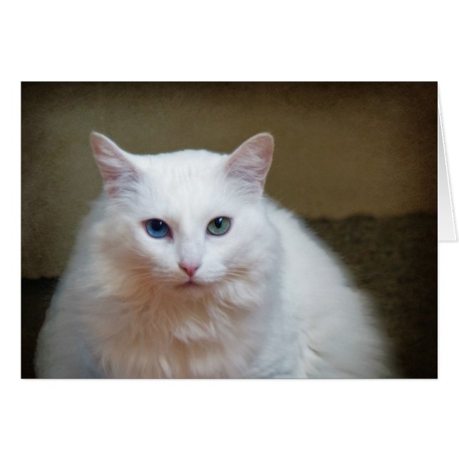 Crystal (Front Horizontal)