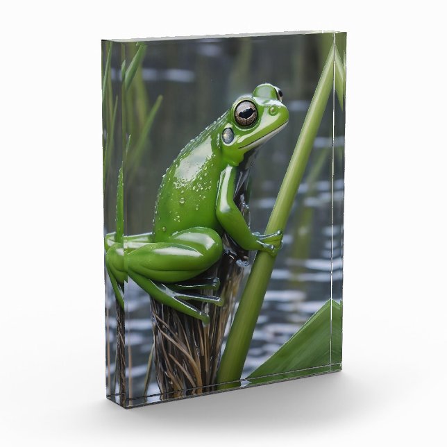 "Crystal Clarity: Green Glass Frog on River Reeds" Photo Block (Left)