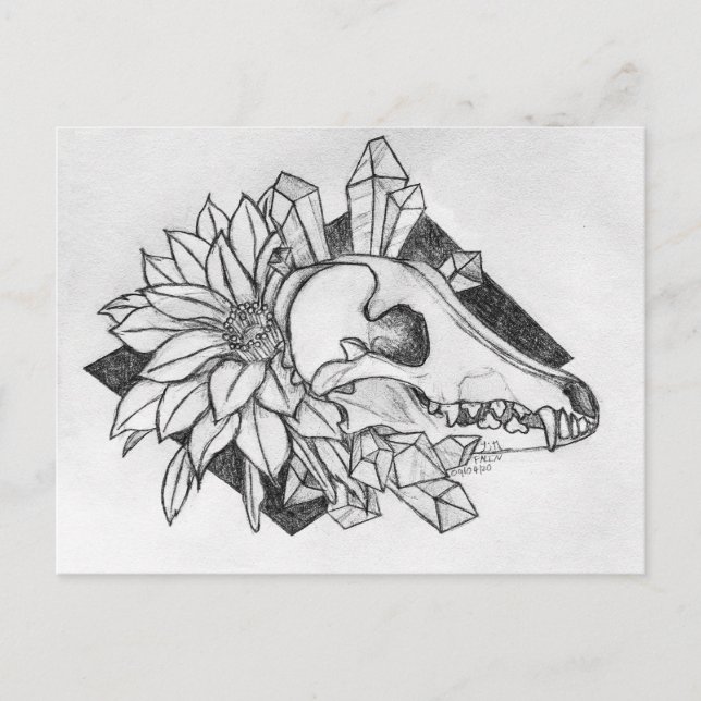 Crystal Coyote  Postcard (Front)