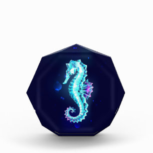 Crystal Ice Seahorse on Blue Background Photo Block