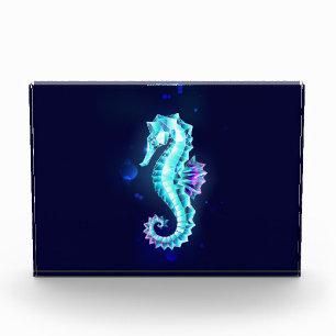 Crystal Ice Seahorse on Blue Background Photo Block