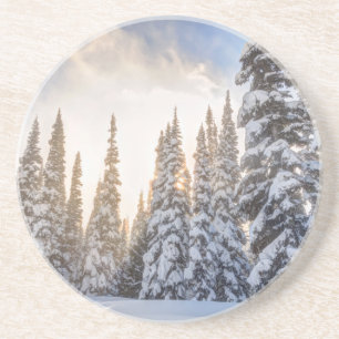 Crystal Mountain Ski Resort, near Mt. Rainier 1 Coaster