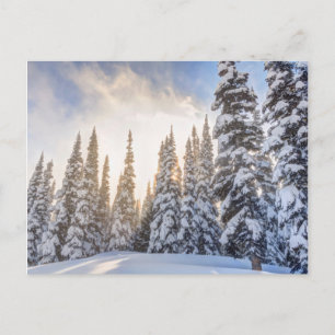 Crystal Mountain Ski Resort, near Mt. Rainier 1 Postcard