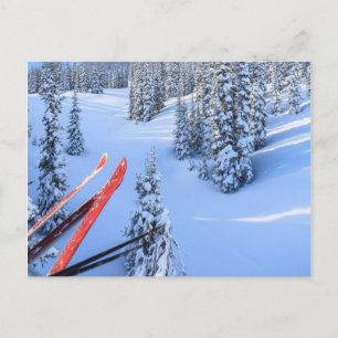 Crystal Mountain Ski Resort, near Mt. Rainier 2 Postcard