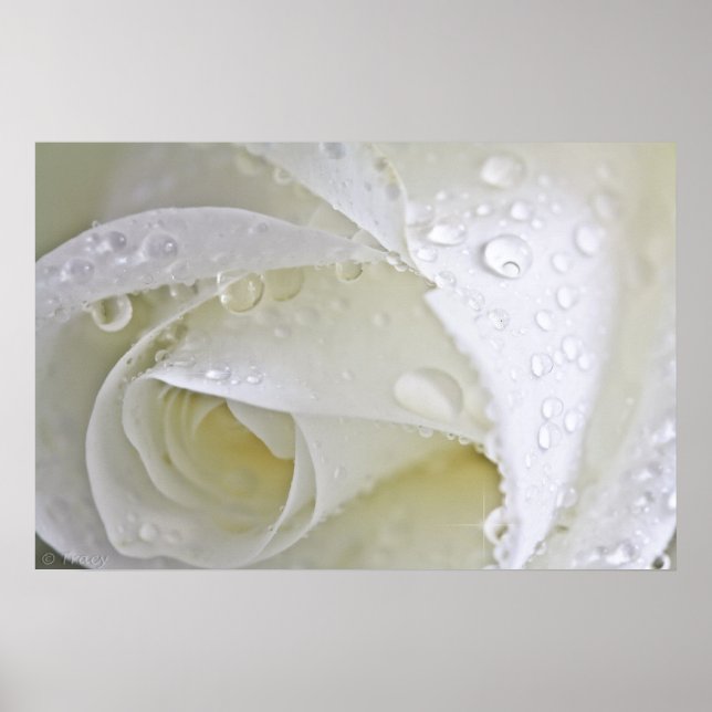 Crystal Rain Poster (Front)