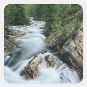 Crystal River, Gunnison National Forest, Square Sticker