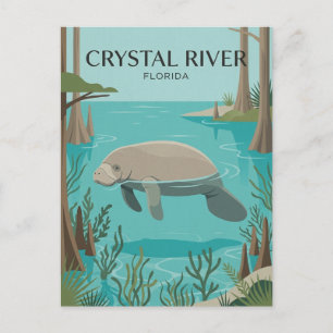Crystal River USA Postcard
