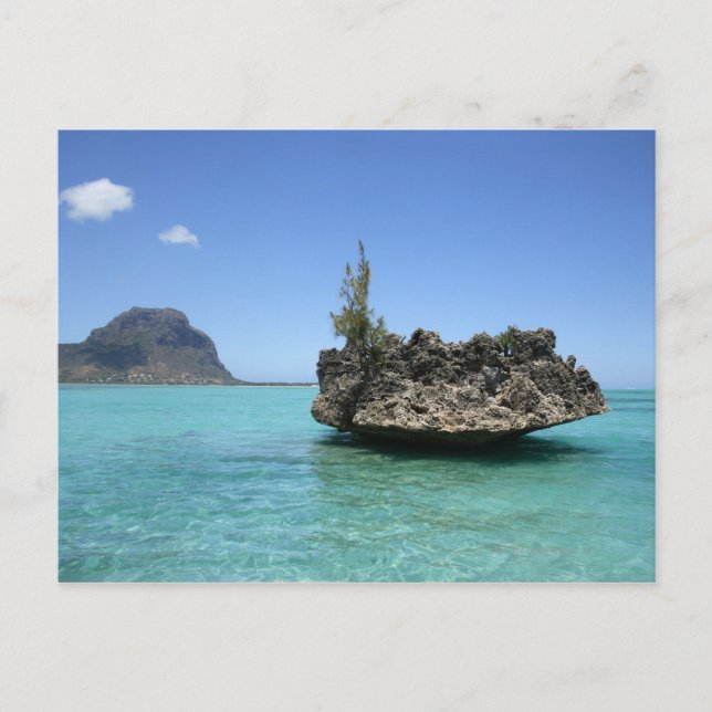 Crystal rock composed of coral postcard (Front)