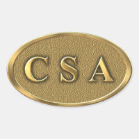 CSA Civil War Sticker