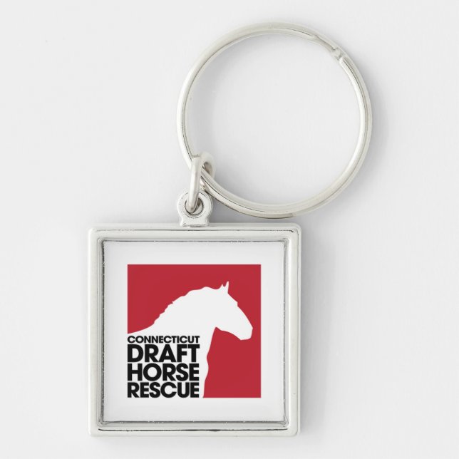 CT Draught   Horse Rescue button keychain (Front)