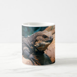 Ctenosaura melanosterna coffee mug